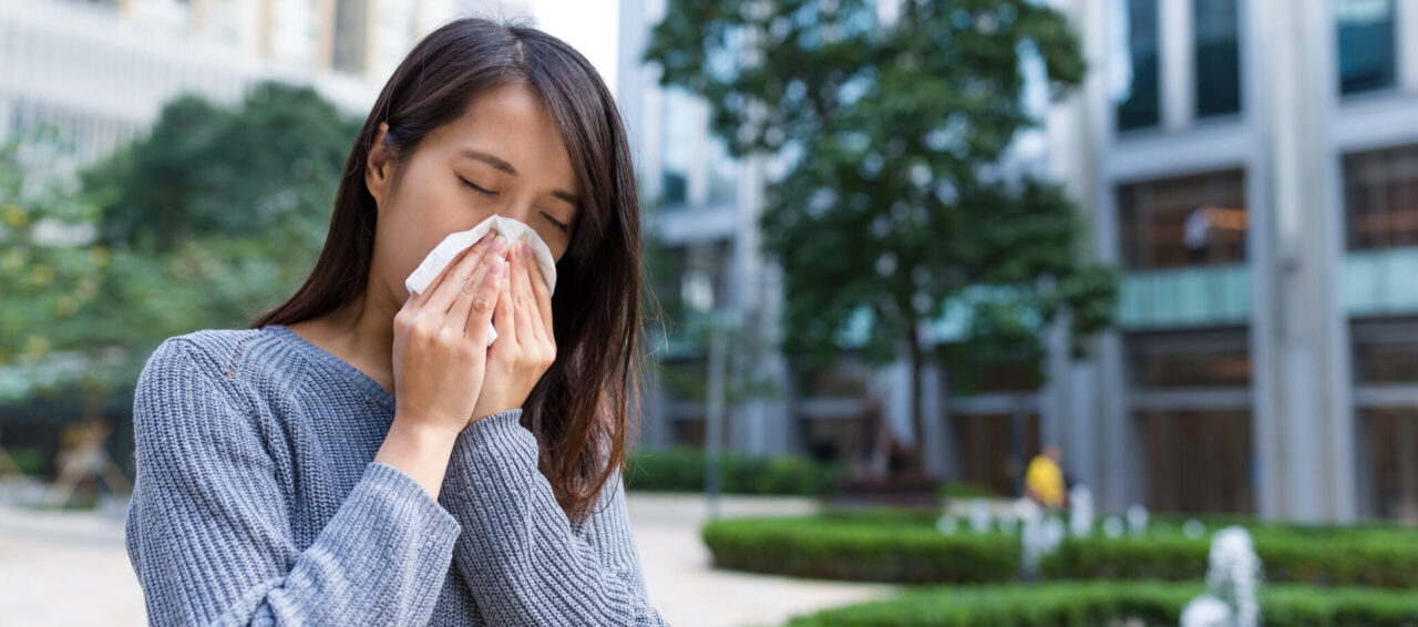 How to Survive Allergy Season